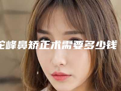 驼峰鼻矫正术需要多少钱(驼峰鼻矫正是大手术吗)
